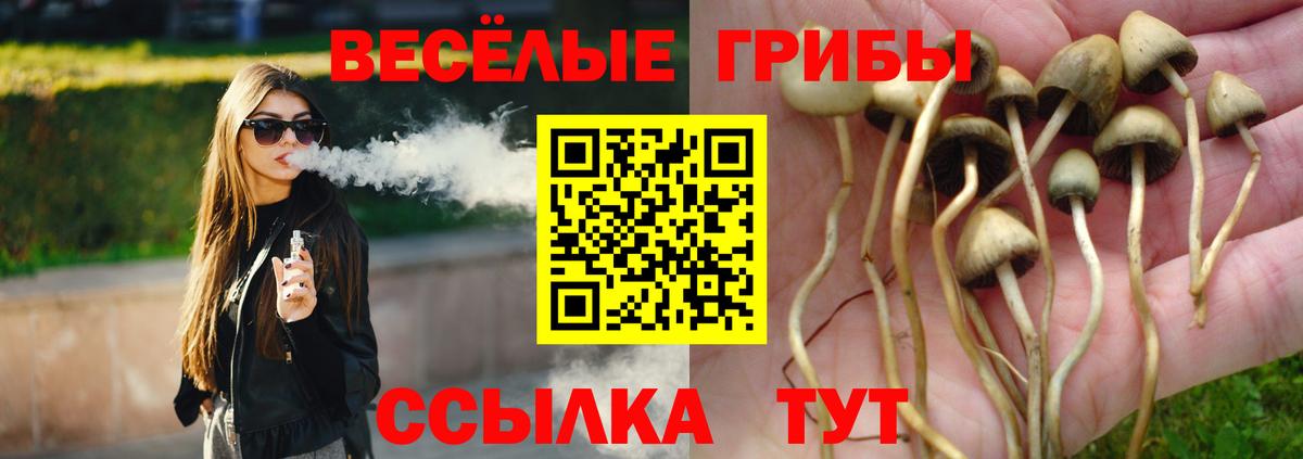 магазин продажи наркотиков  Псилоцибиновые грибы ЛСД  Галлюциногенные грибы MAGIC MUSHROOMS  Вход с VPN  Карталы 
