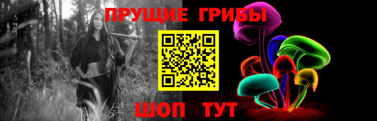 Псилоцибиновые грибы Magic Shrooms Карталы